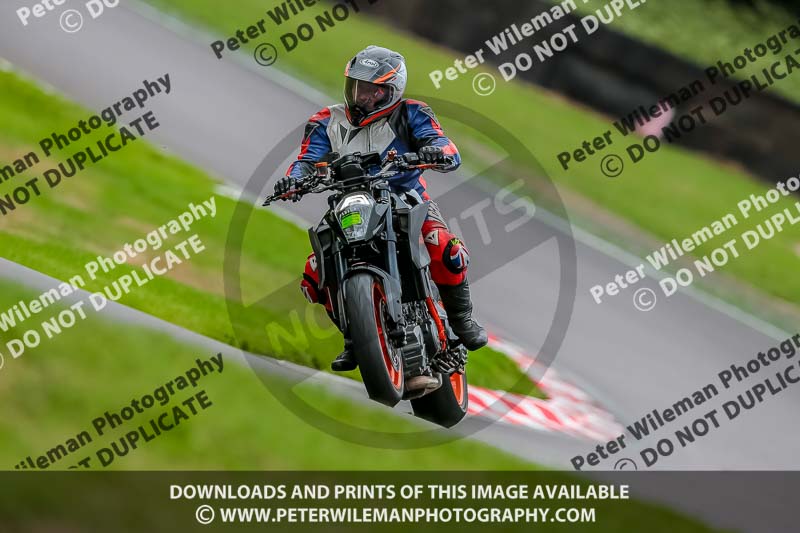 Oulton Park 17 Aug 2018;PJ Motorsport Photography 2018;anglesey;brands hatch;cadwell park;croft;donington park;enduro digital images;event digital images;eventdigitalimages;mallory;no limits;oulton park;peter wileman photography;racing digital images;silverstone;snetterton;trackday digital images;trackday photos;vmcc banbury run;welsh 2 day enduro