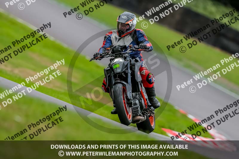 Oulton Park 17 Aug 2018;PJ Motorsport Photography 2018;anglesey;brands hatch;cadwell park;croft;donington park;enduro digital images;event digital images;eventdigitalimages;mallory;no limits;oulton park;peter wileman photography;racing digital images;silverstone;snetterton;trackday digital images;trackday photos;vmcc banbury run;welsh 2 day enduro