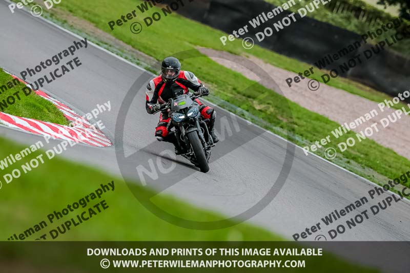 Oulton Park 17 Aug 2018;PJ Motorsport Photography 2018;anglesey;brands hatch;cadwell park;croft;donington park;enduro digital images;event digital images;eventdigitalimages;mallory;no limits;oulton park;peter wileman photography;racing digital images;silverstone;snetterton;trackday digital images;trackday photos;vmcc banbury run;welsh 2 day enduro