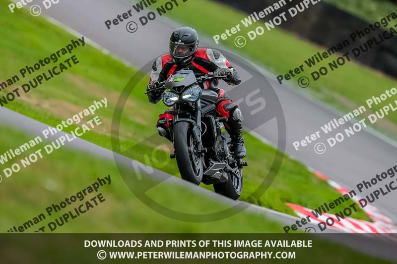 Oulton Park 17 Aug 2018;PJ Motorsport Photography 2018;anglesey;brands hatch;cadwell park;croft;donington park;enduro digital images;event digital images;eventdigitalimages;mallory;no limits;oulton park;peter wileman photography;racing digital images;silverstone;snetterton;trackday digital images;trackday photos;vmcc banbury run;welsh 2 day enduro