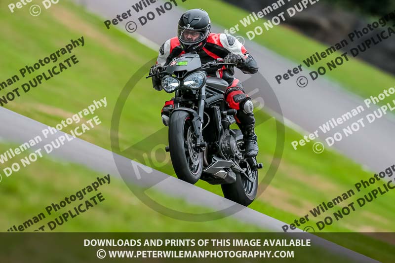 Oulton Park 17 Aug 2018;PJ Motorsport Photography 2018;anglesey;brands hatch;cadwell park;croft;donington park;enduro digital images;event digital images;eventdigitalimages;mallory;no limits;oulton park;peter wileman photography;racing digital images;silverstone;snetterton;trackday digital images;trackday photos;vmcc banbury run;welsh 2 day enduro