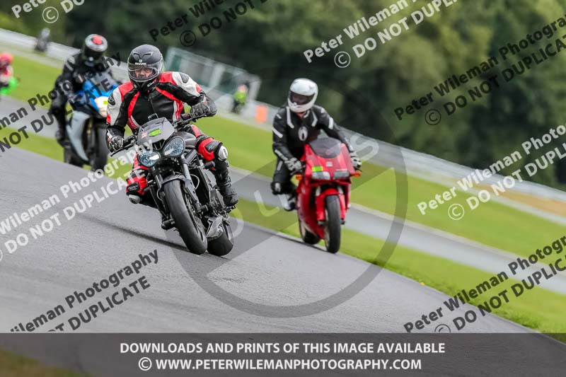 Oulton Park 17 Aug 2018;PJ Motorsport Photography 2018;anglesey;brands hatch;cadwell park;croft;donington park;enduro digital images;event digital images;eventdigitalimages;mallory;no limits;oulton park;peter wileman photography;racing digital images;silverstone;snetterton;trackday digital images;trackday photos;vmcc banbury run;welsh 2 day enduro