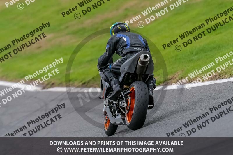 Oulton Park 17 Aug 2018;PJ Motorsport Photography 2018;anglesey;brands hatch;cadwell park;croft;donington park;enduro digital images;event digital images;eventdigitalimages;mallory;no limits;oulton park;peter wileman photography;racing digital images;silverstone;snetterton;trackday digital images;trackday photos;vmcc banbury run;welsh 2 day enduro