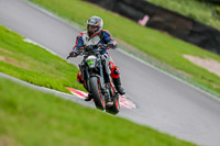 Oulton-Park-17-Aug-2018;PJ-Motorsport-Photography-2018;anglesey;brands-hatch;cadwell-park;croft;donington-park;enduro-digital-images;event-digital-images;eventdigitalimages;mallory;no-limits;oulton-park;peter-wileman-photography;racing-digital-images;silverstone;snetterton;trackday-digital-images;trackday-photos;vmcc-banbury-run;welsh-2-day-enduro