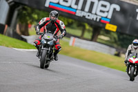 Oulton-Park-17-Aug-2018;PJ-Motorsport-Photography-2018;anglesey;brands-hatch;cadwell-park;croft;donington-park;enduro-digital-images;event-digital-images;eventdigitalimages;mallory;no-limits;oulton-park;peter-wileman-photography;racing-digital-images;silverstone;snetterton;trackday-digital-images;trackday-photos;vmcc-banbury-run;welsh-2-day-enduro