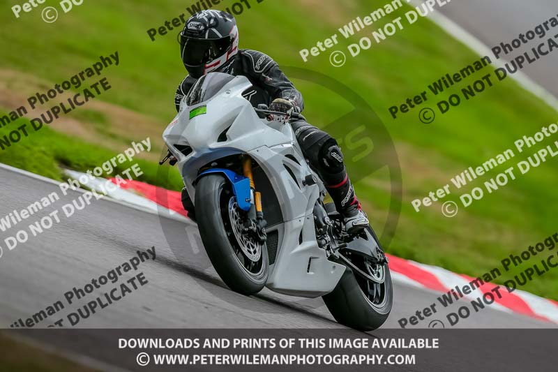 Oulton Park 17 Aug 2018;PJ Motorsport Photography 2018;anglesey;brands hatch;cadwell park;croft;donington park;enduro digital images;event digital images;eventdigitalimages;mallory;no limits;oulton park;peter wileman photography;racing digital images;silverstone;snetterton;trackday digital images;trackday photos;vmcc banbury run;welsh 2 day enduro