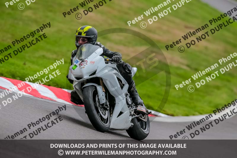 Oulton Park 17 Aug 2018;PJ Motorsport Photography 2018;anglesey;brands hatch;cadwell park;croft;donington park;enduro digital images;event digital images;eventdigitalimages;mallory;no limits;oulton park;peter wileman photography;racing digital images;silverstone;snetterton;trackday digital images;trackday photos;vmcc banbury run;welsh 2 day enduro