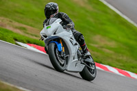 Oulton-Park-17-Aug-2018;PJ-Motorsport-Photography-2018;anglesey;brands-hatch;cadwell-park;croft;donington-park;enduro-digital-images;event-digital-images;eventdigitalimages;mallory;no-limits;oulton-park;peter-wileman-photography;racing-digital-images;silverstone;snetterton;trackday-digital-images;trackday-photos;vmcc-banbury-run;welsh-2-day-enduro