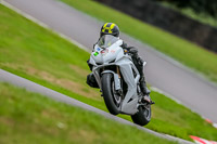 Oulton-Park-17-Aug-2018;PJ-Motorsport-Photography-2018;anglesey;brands-hatch;cadwell-park;croft;donington-park;enduro-digital-images;event-digital-images;eventdigitalimages;mallory;no-limits;oulton-park;peter-wileman-photography;racing-digital-images;silverstone;snetterton;trackday-digital-images;trackday-photos;vmcc-banbury-run;welsh-2-day-enduro