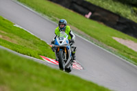 Oulton-Park-17-Aug-2018;PJ-Motorsport-Photography-2018;anglesey;brands-hatch;cadwell-park;croft;donington-park;enduro-digital-images;event-digital-images;eventdigitalimages;mallory;no-limits;oulton-park;peter-wileman-photography;racing-digital-images;silverstone;snetterton;trackday-digital-images;trackday-photos;vmcc-banbury-run;welsh-2-day-enduro