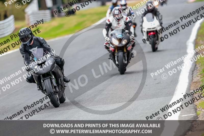 Oulton Park Track Day 18th Aug 2918;PJ Motorsport;anglesey;brands hatch;cadwell park;croft;donington park;enduro digital images;event digital images;eventdigitalimages;mallory;no limits;oulton park;peter wileman photography;racing digital images;silverstone;snetterton;trackday digital images;trackday photos;vmcc banbury run;welsh 2 day enduro