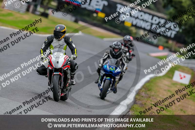 Oulton Park Track Day 18th Aug 2918;PJ Motorsport;anglesey;brands hatch;cadwell park;croft;donington park;enduro digital images;event digital images;eventdigitalimages;mallory;no limits;oulton park;peter wileman photography;racing digital images;silverstone;snetterton;trackday digital images;trackday photos;vmcc banbury run;welsh 2 day enduro