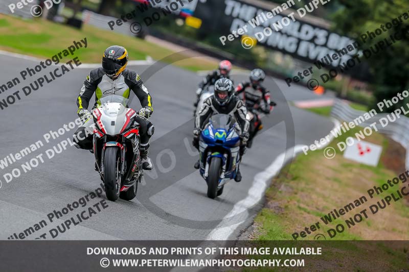 Oulton Park Track Day 18th Aug 2918;PJ Motorsport;anglesey;brands hatch;cadwell park;croft;donington park;enduro digital images;event digital images;eventdigitalimages;mallory;no limits;oulton park;peter wileman photography;racing digital images;silverstone;snetterton;trackday digital images;trackday photos;vmcc banbury run;welsh 2 day enduro