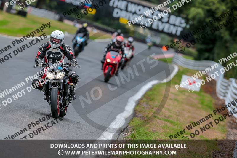 Oulton Park Track Day 18th Aug 2918;PJ Motorsport;anglesey;brands hatch;cadwell park;croft;donington park;enduro digital images;event digital images;eventdigitalimages;mallory;no limits;oulton park;peter wileman photography;racing digital images;silverstone;snetterton;trackday digital images;trackday photos;vmcc banbury run;welsh 2 day enduro