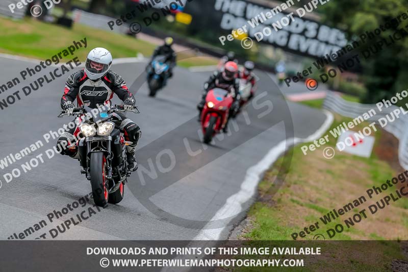 Oulton Park Track Day 18th Aug 2918;PJ Motorsport;anglesey;brands hatch;cadwell park;croft;donington park;enduro digital images;event digital images;eventdigitalimages;mallory;no limits;oulton park;peter wileman photography;racing digital images;silverstone;snetterton;trackday digital images;trackday photos;vmcc banbury run;welsh 2 day enduro