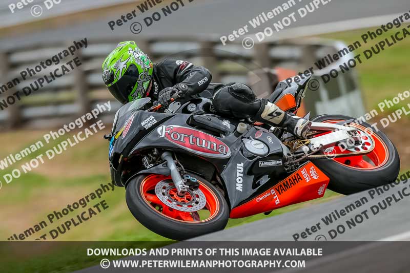 Oulton Park Track Day 18th Aug 2918;PJ Motorsport;anglesey;brands hatch;cadwell park;croft;donington park;enduro digital images;event digital images;eventdigitalimages;mallory;no limits;oulton park;peter wileman photography;racing digital images;silverstone;snetterton;trackday digital images;trackday photos;vmcc banbury run;welsh 2 day enduro