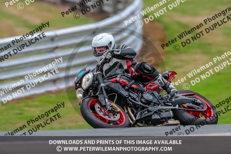 Oulton Park Track Day 18th Aug 2918;PJ Motorsport;anglesey;brands hatch;cadwell park;croft;donington park;enduro digital images;event digital images;eventdigitalimages;mallory;no limits;oulton park;peter wileman photography;racing digital images;silverstone;snetterton;trackday digital images;trackday photos;vmcc banbury run;welsh 2 day enduro