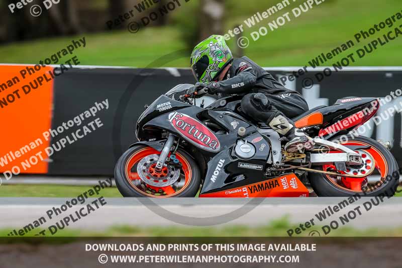 Oulton Park Track Day 18th Aug 2918;PJ Motorsport;anglesey;brands hatch;cadwell park;croft;donington park;enduro digital images;event digital images;eventdigitalimages;mallory;no limits;oulton park;peter wileman photography;racing digital images;silverstone;snetterton;trackday digital images;trackday photos;vmcc banbury run;welsh 2 day enduro