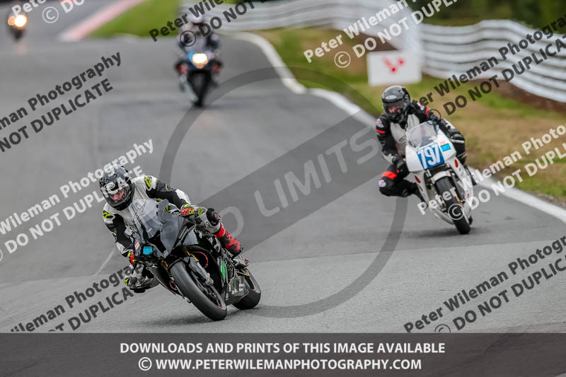 Oulton Park Track Day 18th Aug 2918;PJ Motorsport;anglesey;brands hatch;cadwell park;croft;donington park;enduro digital images;event digital images;eventdigitalimages;mallory;no limits;oulton park;peter wileman photography;racing digital images;silverstone;snetterton;trackday digital images;trackday photos;vmcc banbury run;welsh 2 day enduro