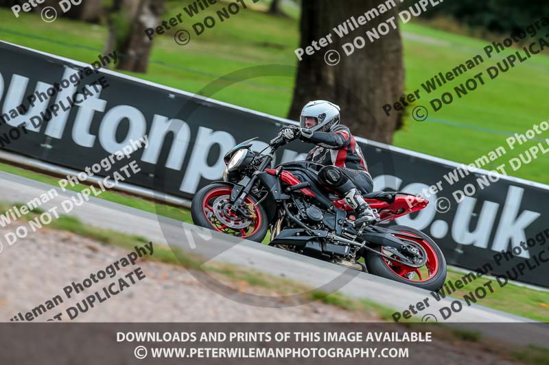 Oulton Park Track Day 18th Aug 2918;PJ Motorsport;anglesey;brands hatch;cadwell park;croft;donington park;enduro digital images;event digital images;eventdigitalimages;mallory;no limits;oulton park;peter wileman photography;racing digital images;silverstone;snetterton;trackday digital images;trackday photos;vmcc banbury run;welsh 2 day enduro