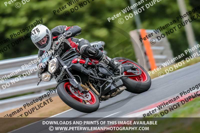 Oulton Park Track Day 18th Aug 2918;PJ Motorsport;anglesey;brands hatch;cadwell park;croft;donington park;enduro digital images;event digital images;eventdigitalimages;mallory;no limits;oulton park;peter wileman photography;racing digital images;silverstone;snetterton;trackday digital images;trackday photos;vmcc banbury run;welsh 2 day enduro