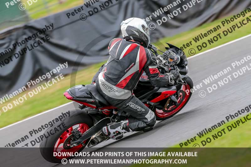 Oulton Park Track Day 18th Aug 2918;PJ Motorsport;anglesey;brands hatch;cadwell park;croft;donington park;enduro digital images;event digital images;eventdigitalimages;mallory;no limits;oulton park;peter wileman photography;racing digital images;silverstone;snetterton;trackday digital images;trackday photos;vmcc banbury run;welsh 2 day enduro