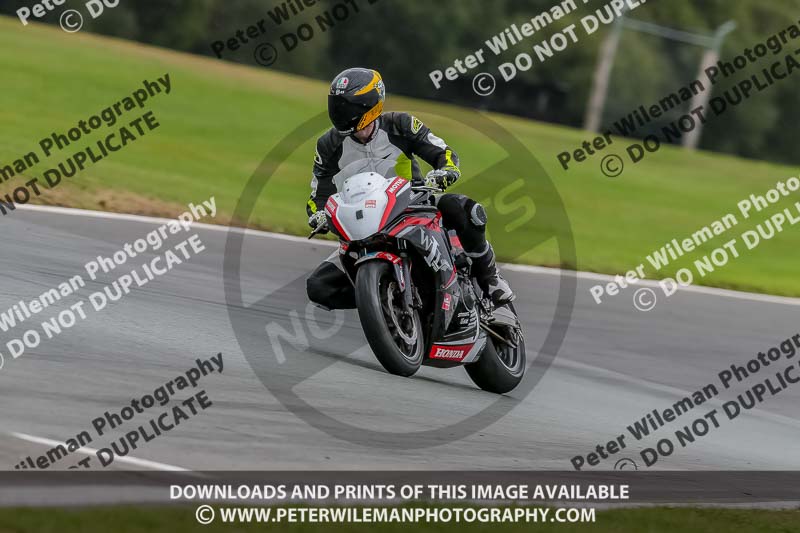 Oulton Park Track Day 18th Aug 2918;PJ Motorsport;anglesey;brands hatch;cadwell park;croft;donington park;enduro digital images;event digital images;eventdigitalimages;mallory;no limits;oulton park;peter wileman photography;racing digital images;silverstone;snetterton;trackday digital images;trackday photos;vmcc banbury run;welsh 2 day enduro