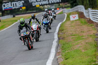 Oulton-Park-Track-Day-18th-Aug-2918;PJ-Motorsport;anglesey;brands-hatch;cadwell-park;croft;donington-park;enduro-digital-images;event-digital-images;eventdigitalimages;mallory;no-limits;oulton-park;peter-wileman-photography;racing-digital-images;silverstone;snetterton;trackday-digital-images;trackday-photos;vmcc-banbury-run;welsh-2-day-enduro