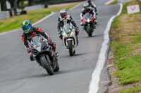 Oulton-Park-Track-Day-18th-Aug-2918;PJ-Motorsport;anglesey;brands-hatch;cadwell-park;croft;donington-park;enduro-digital-images;event-digital-images;eventdigitalimages;mallory;no-limits;oulton-park;peter-wileman-photography;racing-digital-images;silverstone;snetterton;trackday-digital-images;trackday-photos;vmcc-banbury-run;welsh-2-day-enduro