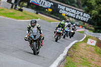 Oulton-Park-Track-Day-18th-Aug-2918;PJ-Motorsport;anglesey;brands-hatch;cadwell-park;croft;donington-park;enduro-digital-images;event-digital-images;eventdigitalimages;mallory;no-limits;oulton-park;peter-wileman-photography;racing-digital-images;silverstone;snetterton;trackday-digital-images;trackday-photos;vmcc-banbury-run;welsh-2-day-enduro