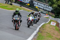 Oulton-Park-Track-Day-18th-Aug-2918;PJ-Motorsport;anglesey;brands-hatch;cadwell-park;croft;donington-park;enduro-digital-images;event-digital-images;eventdigitalimages;mallory;no-limits;oulton-park;peter-wileman-photography;racing-digital-images;silverstone;snetterton;trackday-digital-images;trackday-photos;vmcc-banbury-run;welsh-2-day-enduro