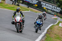 Oulton-Park-Track-Day-18th-Aug-2918;PJ-Motorsport;anglesey;brands-hatch;cadwell-park;croft;donington-park;enduro-digital-images;event-digital-images;eventdigitalimages;mallory;no-limits;oulton-park;peter-wileman-photography;racing-digital-images;silverstone;snetterton;trackday-digital-images;trackday-photos;vmcc-banbury-run;welsh-2-day-enduro