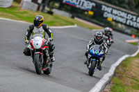 Oulton-Park-Track-Day-18th-Aug-2918;PJ-Motorsport;anglesey;brands-hatch;cadwell-park;croft;donington-park;enduro-digital-images;event-digital-images;eventdigitalimages;mallory;no-limits;oulton-park;peter-wileman-photography;racing-digital-images;silverstone;snetterton;trackday-digital-images;trackday-photos;vmcc-banbury-run;welsh-2-day-enduro