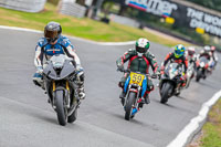 Oulton-Park-Track-Day-18th-Aug-2918;PJ-Motorsport;anglesey;brands-hatch;cadwell-park;croft;donington-park;enduro-digital-images;event-digital-images;eventdigitalimages;mallory;no-limits;oulton-park;peter-wileman-photography;racing-digital-images;silverstone;snetterton;trackday-digital-images;trackday-photos;vmcc-banbury-run;welsh-2-day-enduro