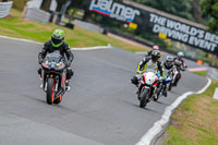 Oulton-Park-Track-Day-18th-Aug-2918;PJ-Motorsport;anglesey;brands-hatch;cadwell-park;croft;donington-park;enduro-digital-images;event-digital-images;eventdigitalimages;mallory;no-limits;oulton-park;peter-wileman-photography;racing-digital-images;silverstone;snetterton;trackday-digital-images;trackday-photos;vmcc-banbury-run;welsh-2-day-enduro