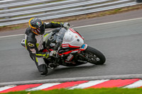 Oulton-Park-Track-Day-18th-Aug-2918;PJ-Motorsport;anglesey;brands-hatch;cadwell-park;croft;donington-park;enduro-digital-images;event-digital-images;eventdigitalimages;mallory;no-limits;oulton-park;peter-wileman-photography;racing-digital-images;silverstone;snetterton;trackday-digital-images;trackday-photos;vmcc-banbury-run;welsh-2-day-enduro