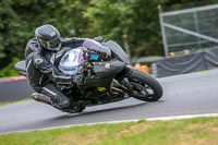 Oulton-Park-Track-Day-18th-Aug-2918;PJ-Motorsport;anglesey;brands-hatch;cadwell-park;croft;donington-park;enduro-digital-images;event-digital-images;eventdigitalimages;mallory;no-limits;oulton-park;peter-wileman-photography;racing-digital-images;silverstone;snetterton;trackday-digital-images;trackday-photos;vmcc-banbury-run;welsh-2-day-enduro