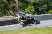 Oulton-Park-Track-Day-18th-Aug-2918;PJ-Motorsport;anglesey;brands-hatch;cadwell-park;croft;donington-park;enduro-digital-images;event-digital-images;eventdigitalimages;mallory;no-limits;oulton-park;peter-wileman-photography;racing-digital-images;silverstone;snetterton;trackday-digital-images;trackday-photos;vmcc-banbury-run;welsh-2-day-enduro