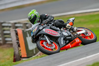 Oulton-Park-Track-Day-18th-Aug-2918;PJ-Motorsport;anglesey;brands-hatch;cadwell-park;croft;donington-park;enduro-digital-images;event-digital-images;eventdigitalimages;mallory;no-limits;oulton-park;peter-wileman-photography;racing-digital-images;silverstone;snetterton;trackday-digital-images;trackday-photos;vmcc-banbury-run;welsh-2-day-enduro