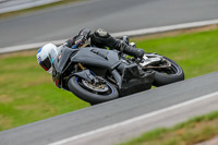 Oulton-Park-Track-Day-18th-Aug-2918;PJ-Motorsport;anglesey;brands-hatch;cadwell-park;croft;donington-park;enduro-digital-images;event-digital-images;eventdigitalimages;mallory;no-limits;oulton-park;peter-wileman-photography;racing-digital-images;silverstone;snetterton;trackday-digital-images;trackday-photos;vmcc-banbury-run;welsh-2-day-enduro