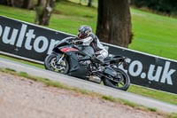 Oulton-Park-Track-Day-18th-Aug-2918;PJ-Motorsport;anglesey;brands-hatch;cadwell-park;croft;donington-park;enduro-digital-images;event-digital-images;eventdigitalimages;mallory;no-limits;oulton-park;peter-wileman-photography;racing-digital-images;silverstone;snetterton;trackday-digital-images;trackday-photos;vmcc-banbury-run;welsh-2-day-enduro