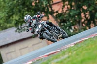 Oulton-Park-Track-Day-18th-Aug-2918;PJ-Motorsport;anglesey;brands-hatch;cadwell-park;croft;donington-park;enduro-digital-images;event-digital-images;eventdigitalimages;mallory;no-limits;oulton-park;peter-wileman-photography;racing-digital-images;silverstone;snetterton;trackday-digital-images;trackday-photos;vmcc-banbury-run;welsh-2-day-enduro