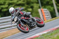 Oulton-Park-Track-Day-18th-Aug-2918;PJ-Motorsport;anglesey;brands-hatch;cadwell-park;croft;donington-park;enduro-digital-images;event-digital-images;eventdigitalimages;mallory;no-limits;oulton-park;peter-wileman-photography;racing-digital-images;silverstone;snetterton;trackday-digital-images;trackday-photos;vmcc-banbury-run;welsh-2-day-enduro