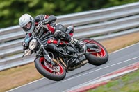 Oulton-Park-Track-Day-18th-Aug-2918;PJ-Motorsport;anglesey;brands-hatch;cadwell-park;croft;donington-park;enduro-digital-images;event-digital-images;eventdigitalimages;mallory;no-limits;oulton-park;peter-wileman-photography;racing-digital-images;silverstone;snetterton;trackday-digital-images;trackday-photos;vmcc-banbury-run;welsh-2-day-enduro