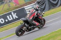 Oulton-Park-Track-Day-18th-Aug-2918;PJ-Motorsport;anglesey;brands-hatch;cadwell-park;croft;donington-park;enduro-digital-images;event-digital-images;eventdigitalimages;mallory;no-limits;oulton-park;peter-wileman-photography;racing-digital-images;silverstone;snetterton;trackday-digital-images;trackday-photos;vmcc-banbury-run;welsh-2-day-enduro