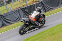 Oulton-Park-Track-Day-18th-Aug-2918;PJ-Motorsport;anglesey;brands-hatch;cadwell-park;croft;donington-park;enduro-digital-images;event-digital-images;eventdigitalimages;mallory;no-limits;oulton-park;peter-wileman-photography;racing-digital-images;silverstone;snetterton;trackday-digital-images;trackday-photos;vmcc-banbury-run;welsh-2-day-enduro