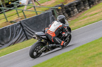 Oulton-Park-Track-Day-18th-Aug-2918;PJ-Motorsport;anglesey;brands-hatch;cadwell-park;croft;donington-park;enduro-digital-images;event-digital-images;eventdigitalimages;mallory;no-limits;oulton-park;peter-wileman-photography;racing-digital-images;silverstone;snetterton;trackday-digital-images;trackday-photos;vmcc-banbury-run;welsh-2-day-enduro