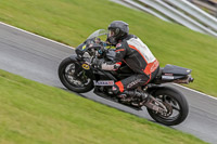 Oulton-Park-Track-Day-18th-Aug-2918;PJ-Motorsport;anglesey;brands-hatch;cadwell-park;croft;donington-park;enduro-digital-images;event-digital-images;eventdigitalimages;mallory;no-limits;oulton-park;peter-wileman-photography;racing-digital-images;silverstone;snetterton;trackday-digital-images;trackday-photos;vmcc-banbury-run;welsh-2-day-enduro