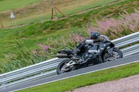 Oulton-Park-Track-Day-18th-Aug-2918;PJ-Motorsport;anglesey;brands-hatch;cadwell-park;croft;donington-park;enduro-digital-images;event-digital-images;eventdigitalimages;mallory;no-limits;oulton-park;peter-wileman-photography;racing-digital-images;silverstone;snetterton;trackday-digital-images;trackday-photos;vmcc-banbury-run;welsh-2-day-enduro