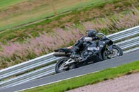 Oulton-Park-Track-Day-18th-Aug-2918;PJ-Motorsport;anglesey;brands-hatch;cadwell-park;croft;donington-park;enduro-digital-images;event-digital-images;eventdigitalimages;mallory;no-limits;oulton-park;peter-wileman-photography;racing-digital-images;silverstone;snetterton;trackday-digital-images;trackday-photos;vmcc-banbury-run;welsh-2-day-enduro